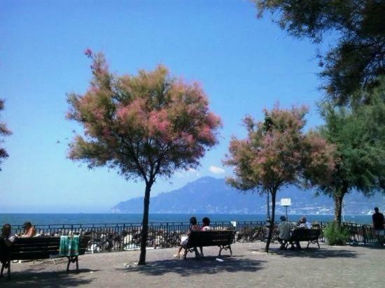 B&B Sul Mare 萨莱诺 外观 照片